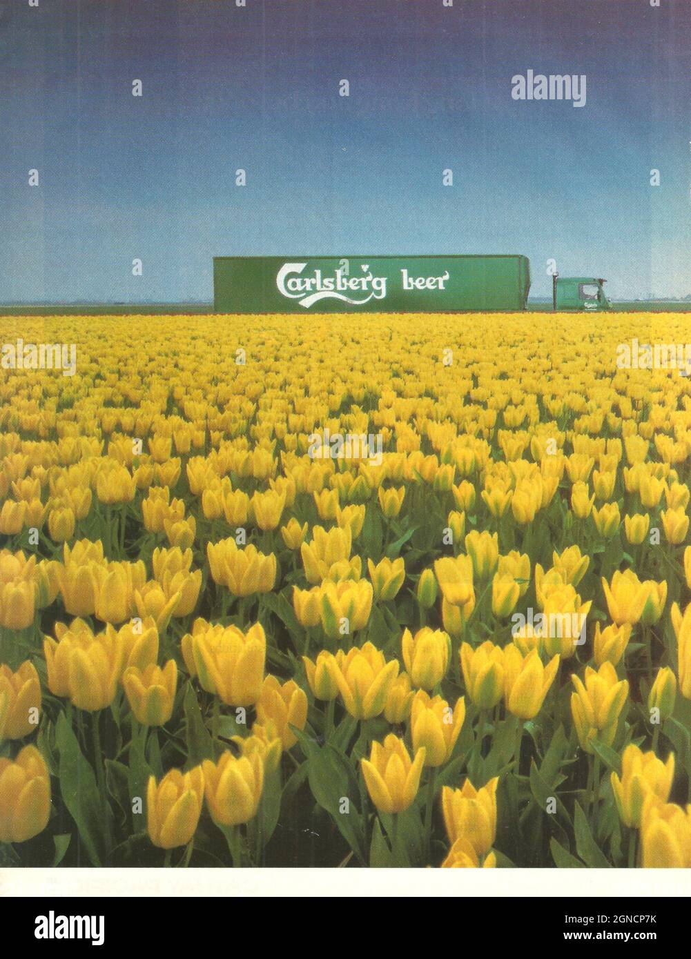 Vintage advertisement of Carlsberg beer Probably the best beer in the world 1970s 1980s paper advert magazine advert Stock Photo