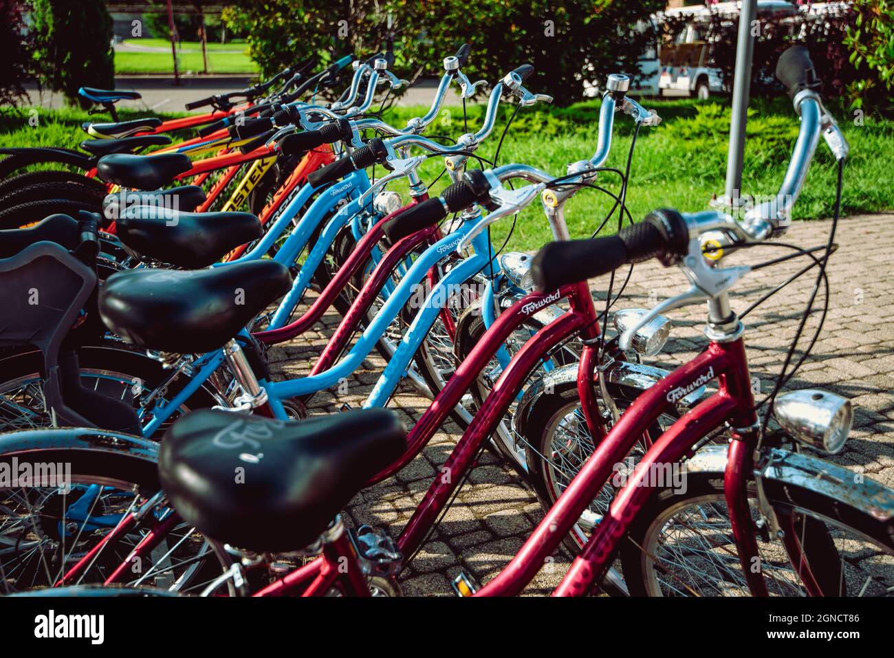 Row of parked bicycles bikes for rent on sidewalk. Stock Photo