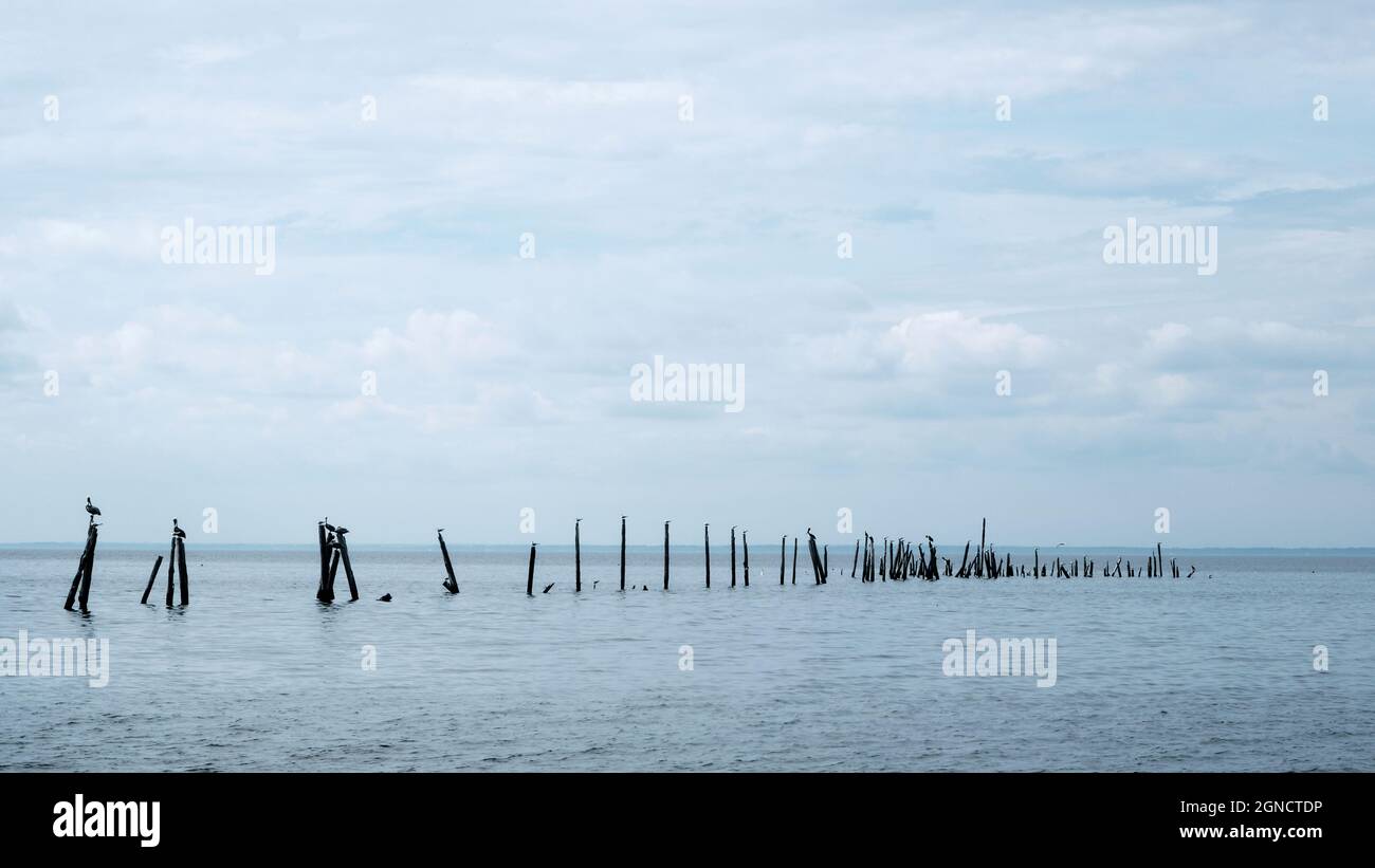 Broken pier pilings reaching into Mobile Bay from Daphne in South Alabama on the East Bay side. Stock Photo