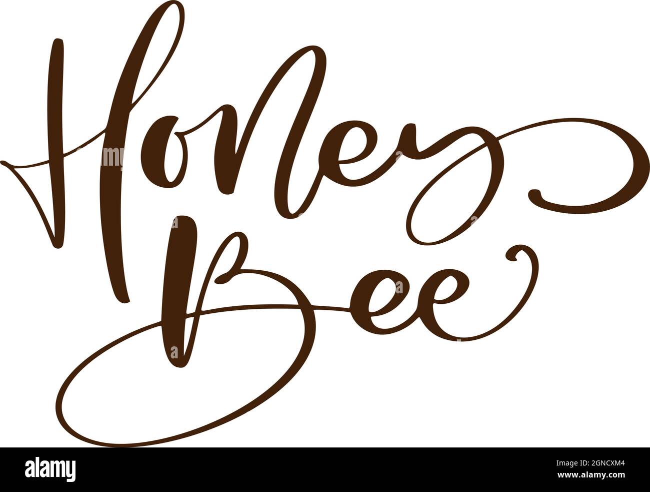 Honey Bee calligraphy vector lettering text. Bee hand lettering word in