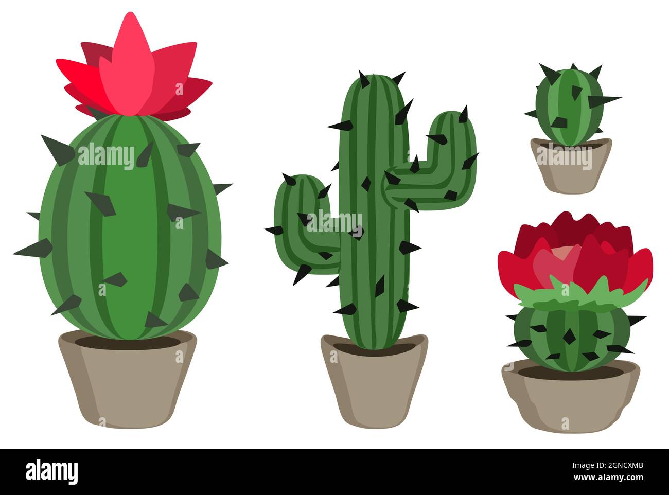 Cacti potted plant cartoon design element set color, isolated vector, over  white, cut out, horizontal Stock Vector Image & Art - Alamy