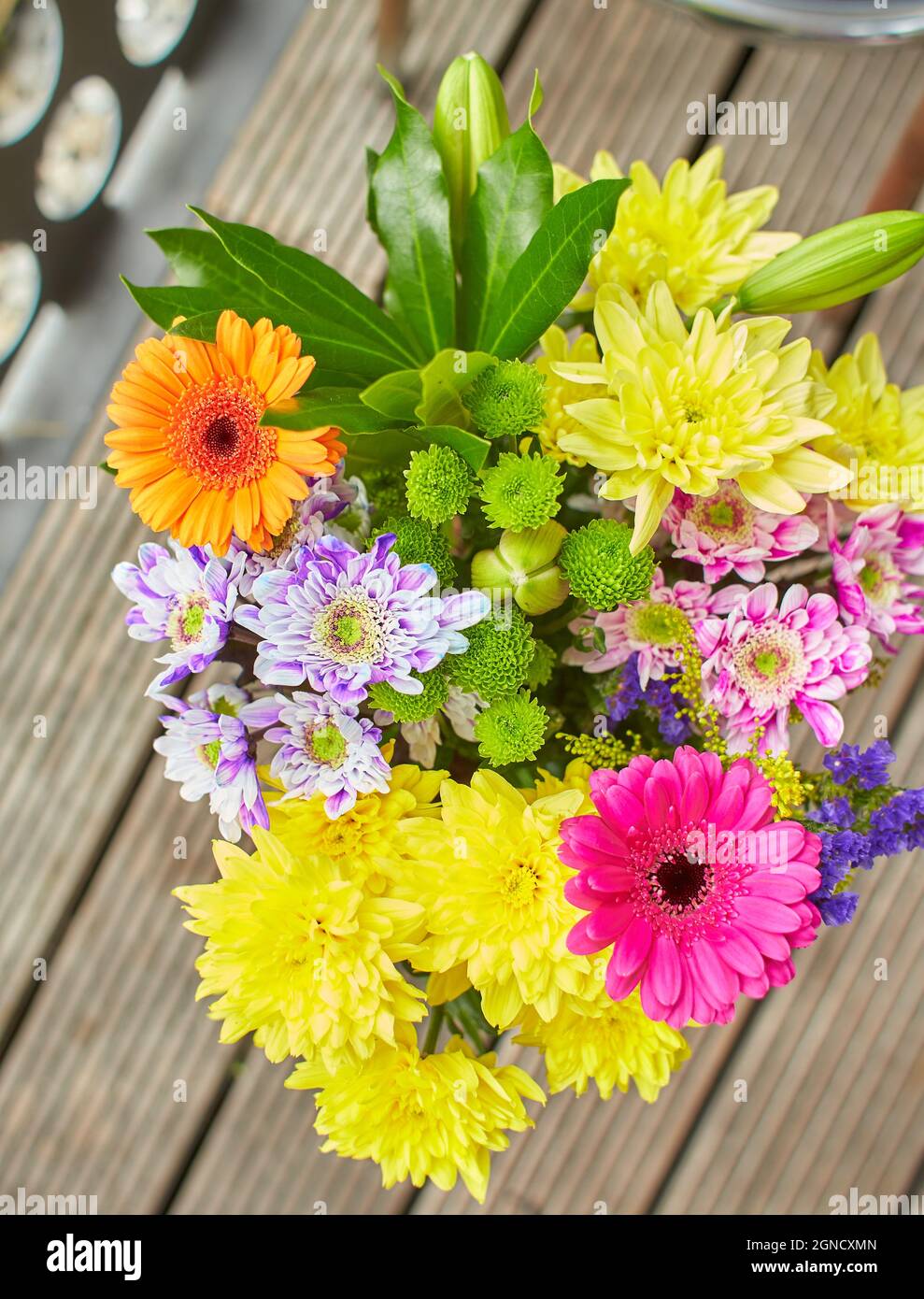 Purple white daisy flower yellow hires stock photography and images Alamy