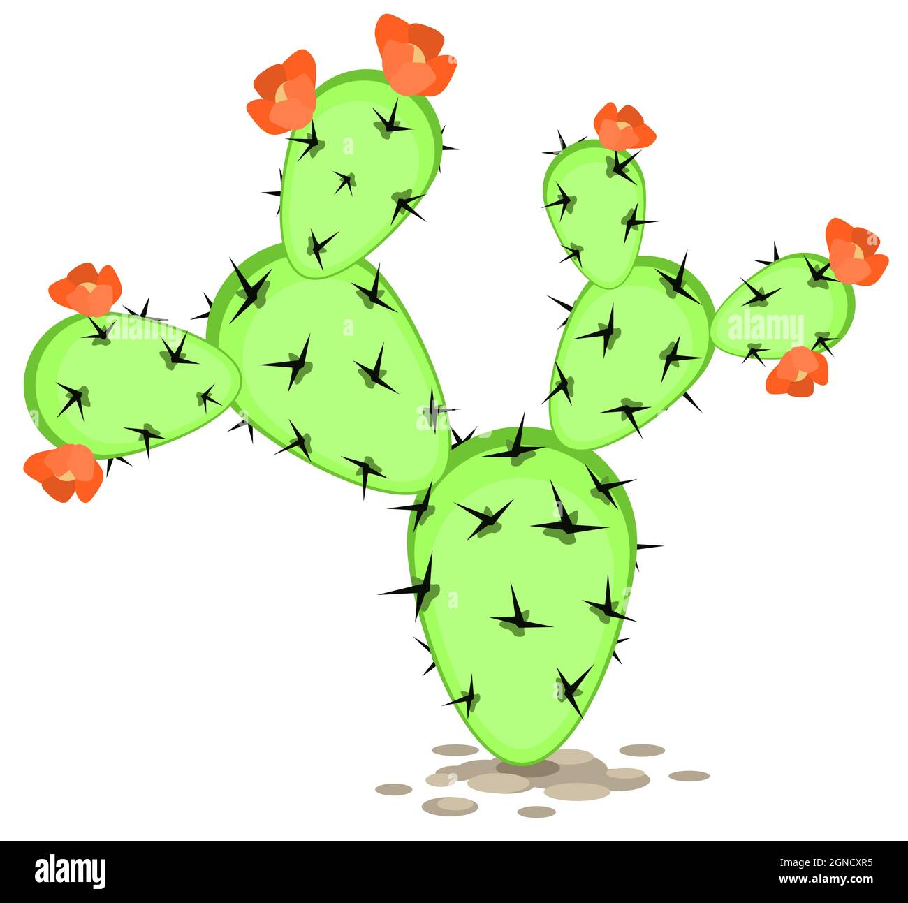 Cactus plant branching cartoon color vector illustration design element object, horizontal, over white, isolated Stock Vector