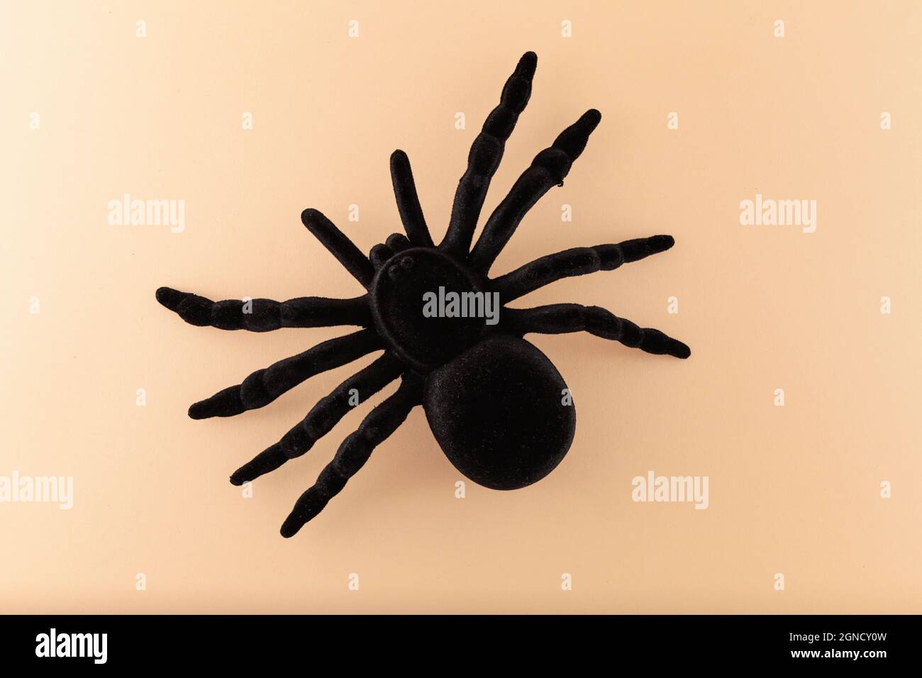 Top view of a black toy spider isolated on a beige background. The skin of the spider is made of velvet-like fabric. Stock Photo