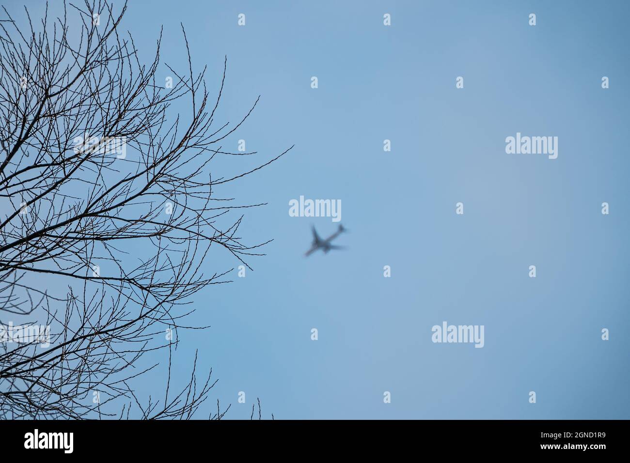Leafless tree branches framing the out of focus airplane in a blue sky ...