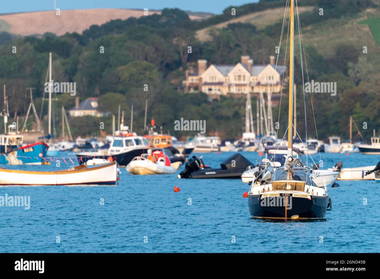 Low view across Salcombe Harbour toward East Portlemouth and large mansion overlooking the harbour, taken at sunset in the golden hour, yachts in view Stock Photo