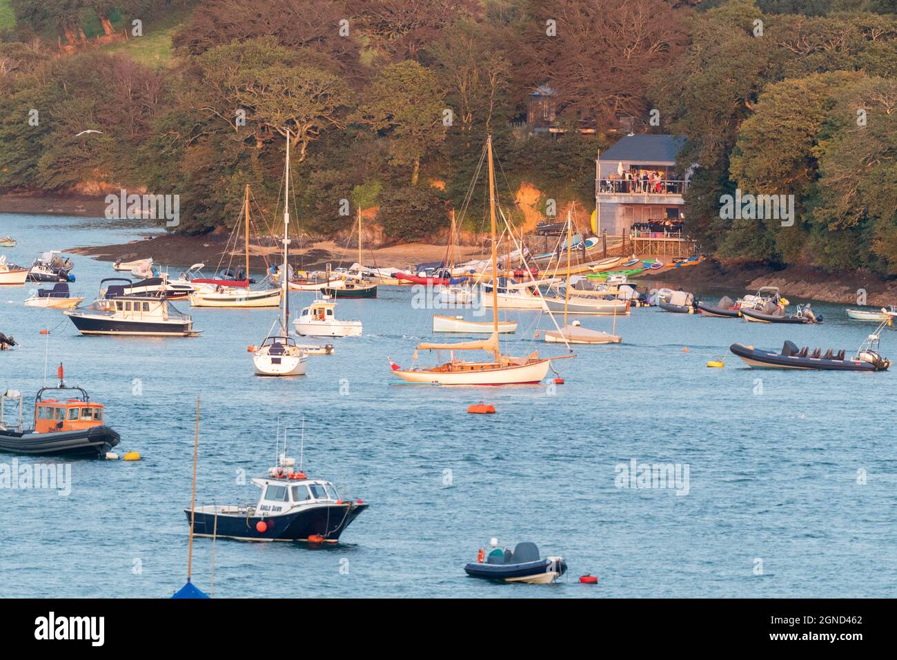 View of party at Port Waterhouse in East Portlemouth, Devon, over the Ria from Salcombe, in the golden hour before sunset in the South Downs Stock Photo