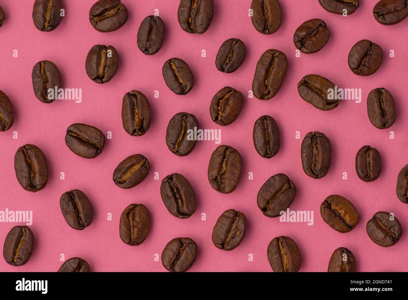 Coffee bean flat-lay on a creative pink background macro close up cafe advertising Stock Photo