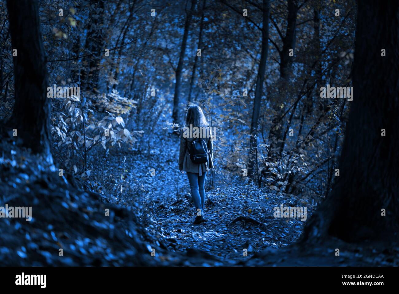 Creepy woods at night for Halloween, girl walking alone in mystic dark forest. Young woman in spooky scary park in twilight, lonely woman in strange f Stock Photo