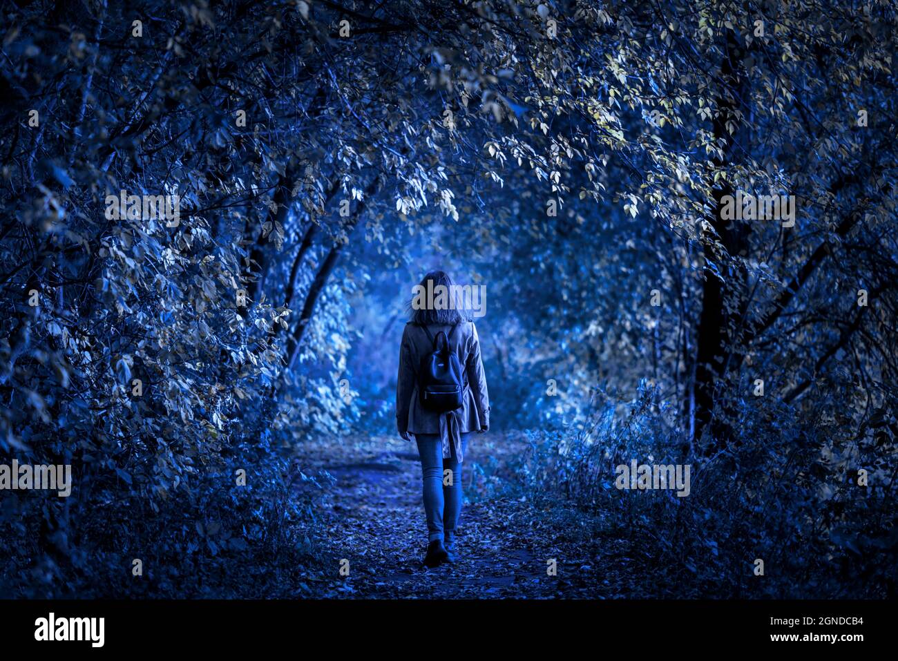 Dark forest on Halloween, young woman in fantasy spooky woods at night. Girl walking alone on path in mystic park. Lonely person in strange creepy pla Stock Photo