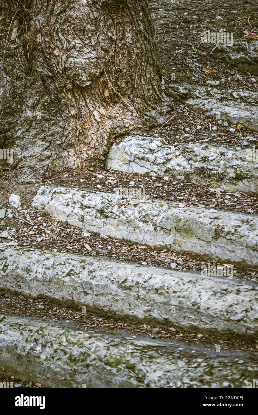 Old destroyed, ruined concrete steps Stock Photo