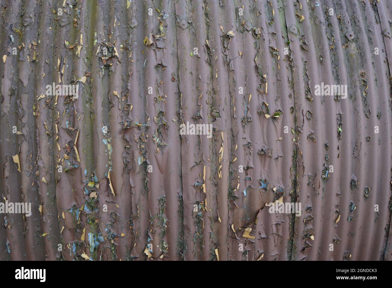 Flaking paint on the corrogated iron sides of a Nissen hut at the Cultybraggan WWII PoW Camp, Comrie Stock Photo