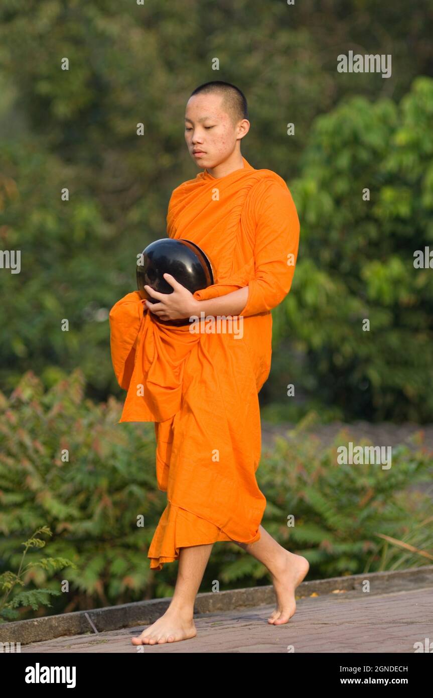 Buddhist monk praying hands hi-res stock photography and images - Alamy