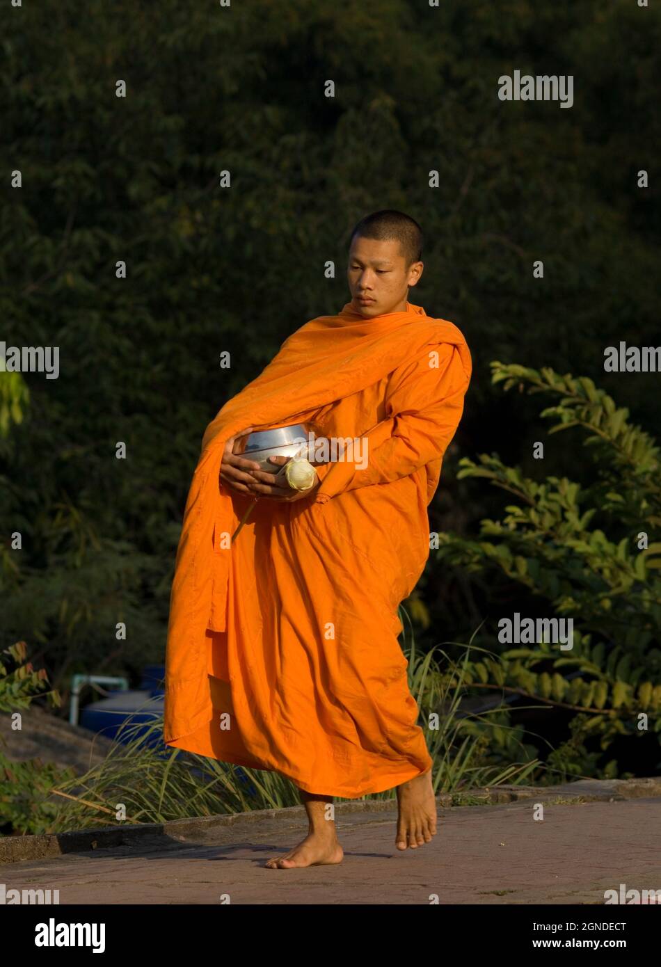 Buddhist monk with alms bowl walking, Chiang Mai Thailand Stock Photo
