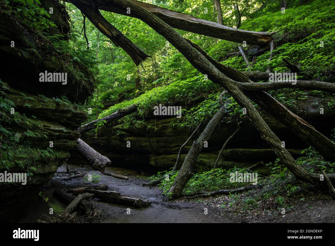 Turkey Run State Park Marshall Indiana Stock Photo Alamy
