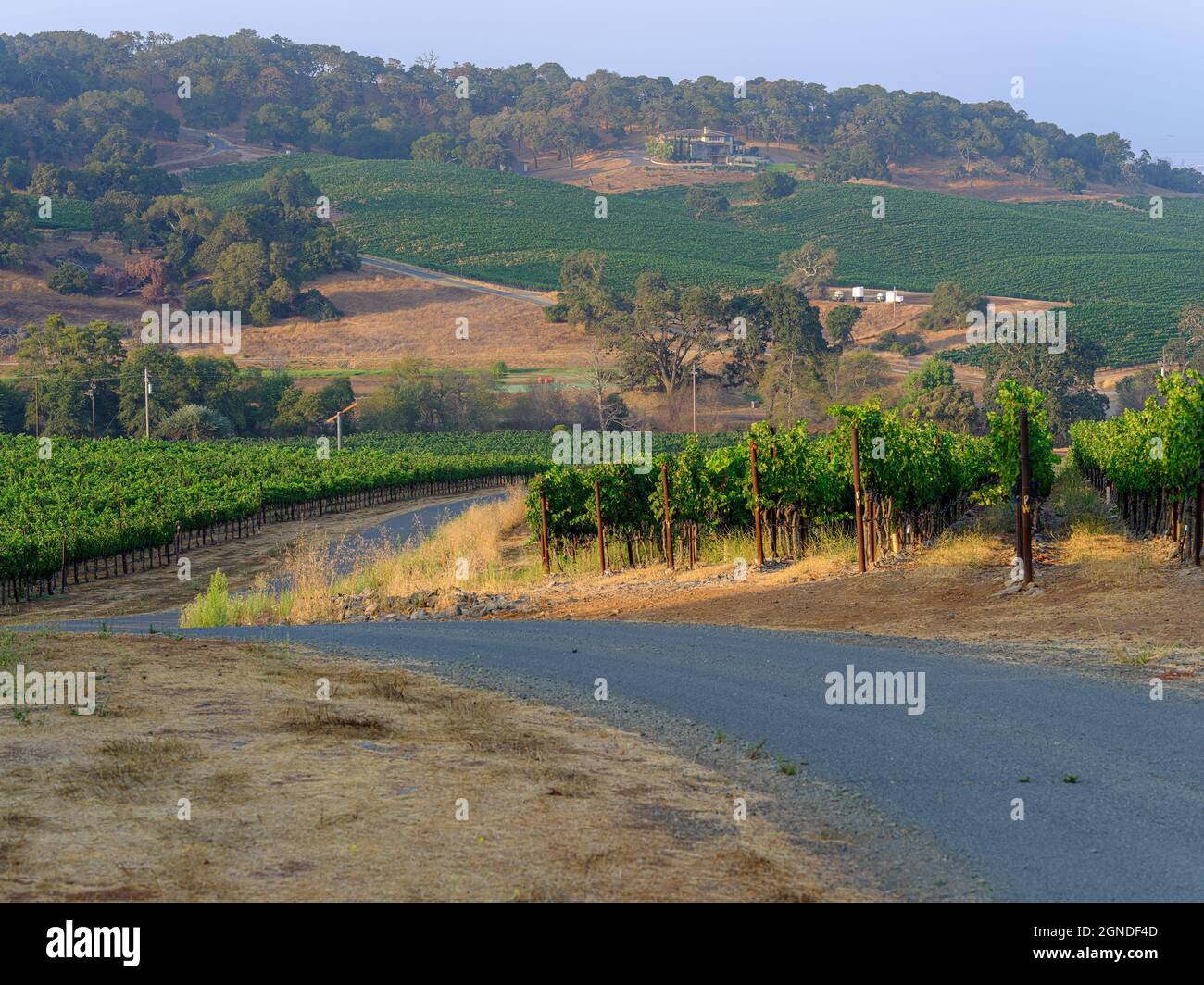 House on a vineyard with beautiful surroundings Stock Photo Alamy
