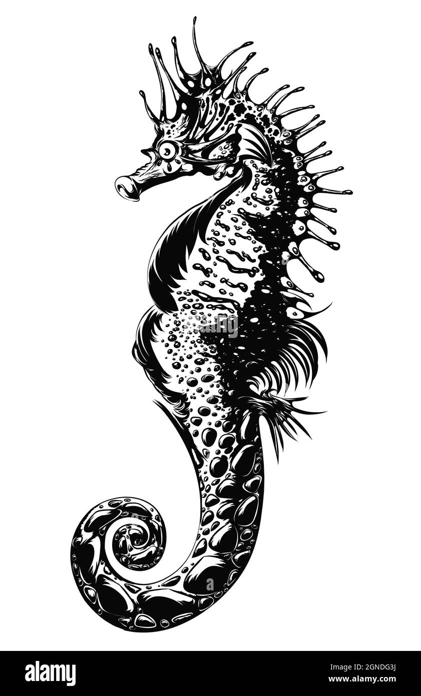 Beautiful illustration of a sea horse made in high contrast Stock Photo