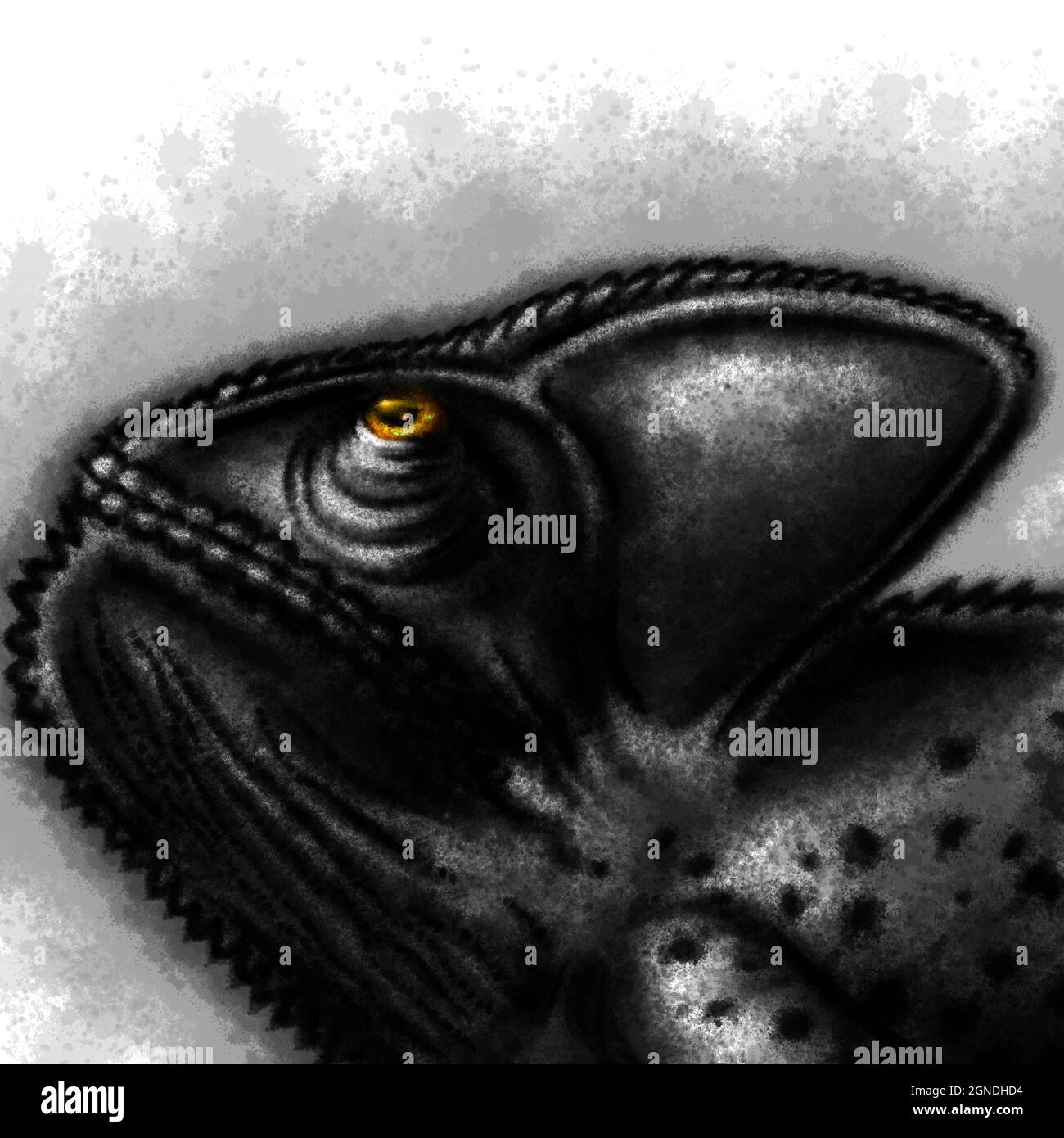 Beautiful digital charcoal illustration of a chameleon Stock Photo - Alamy