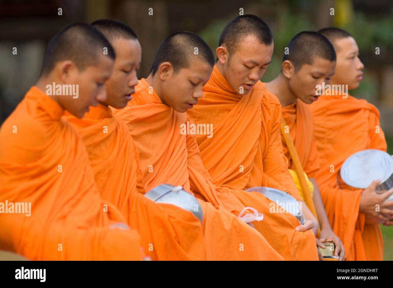 Buddhist monks chanting, Chiang Mai Thailand Stock Photo
