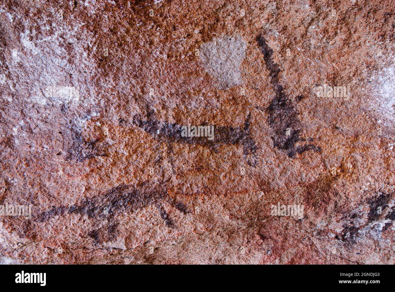 Cave of the Hands located in the southern province of Santa Cruz in the ...