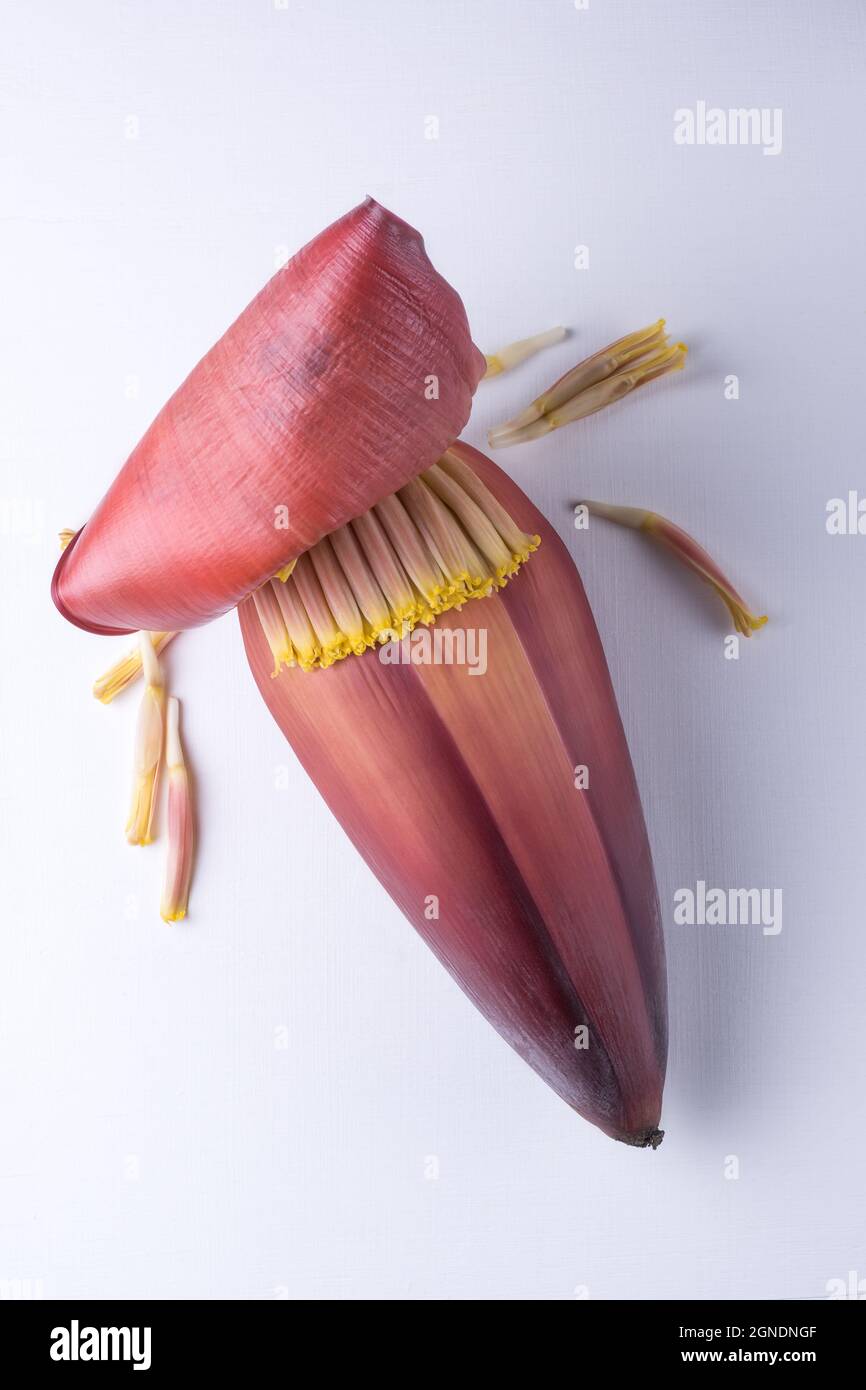 banana flower also known as banana blossom, vegetable on white surface