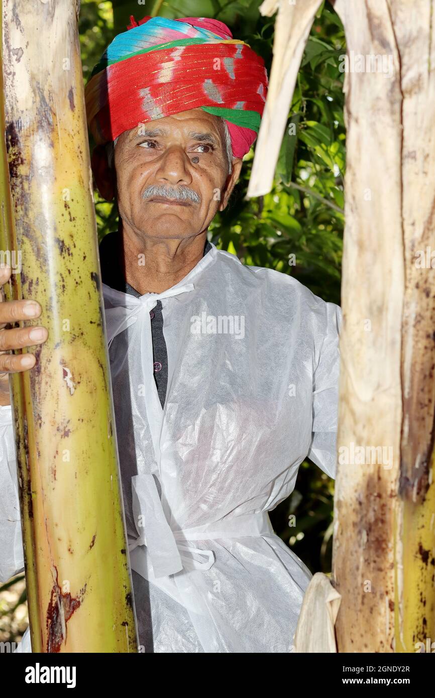 Indian farmer white turban in hi-res stock photography and images - Alamy