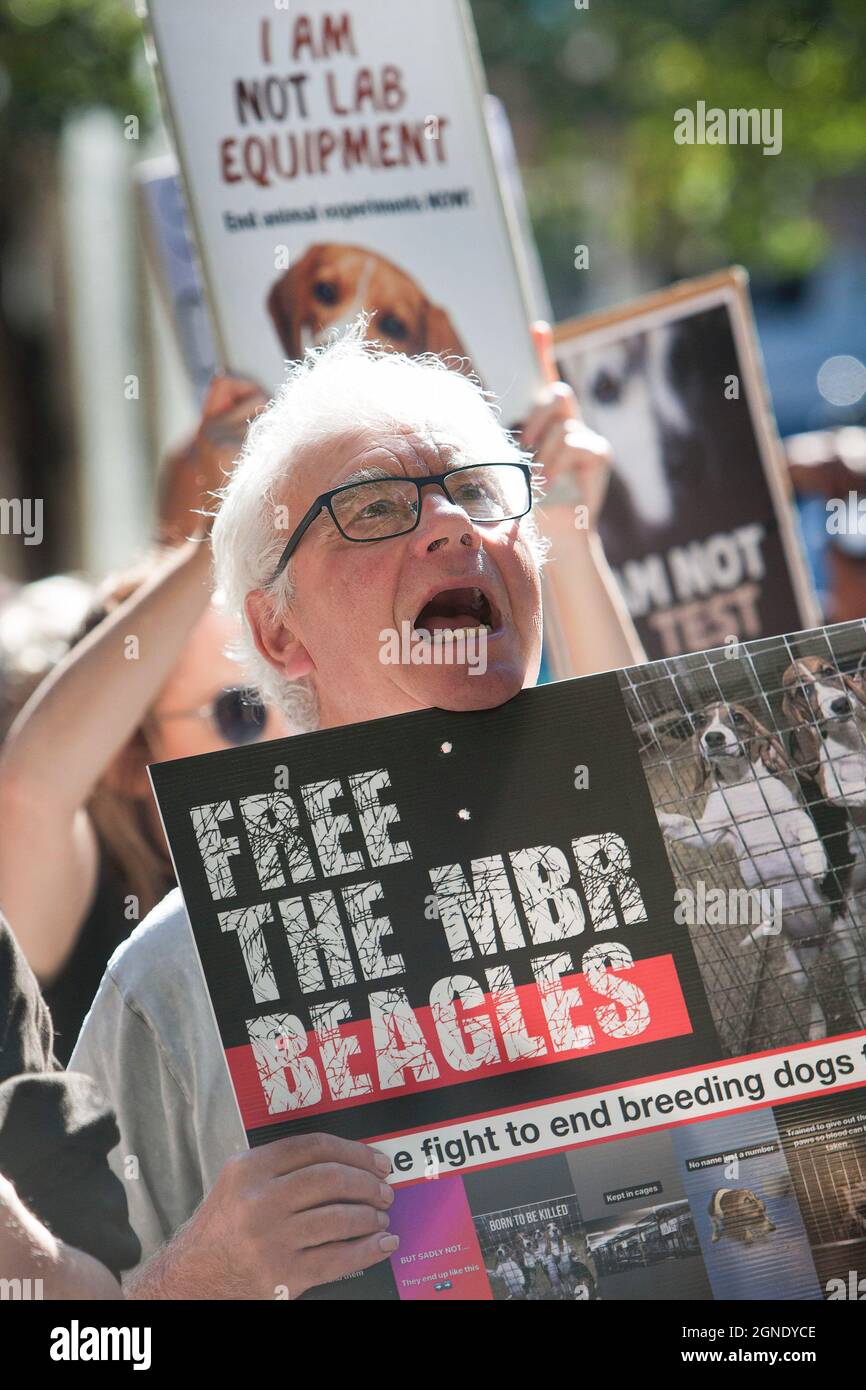 Animal rights demonstrators holding signs hi-res stock photography and ...
