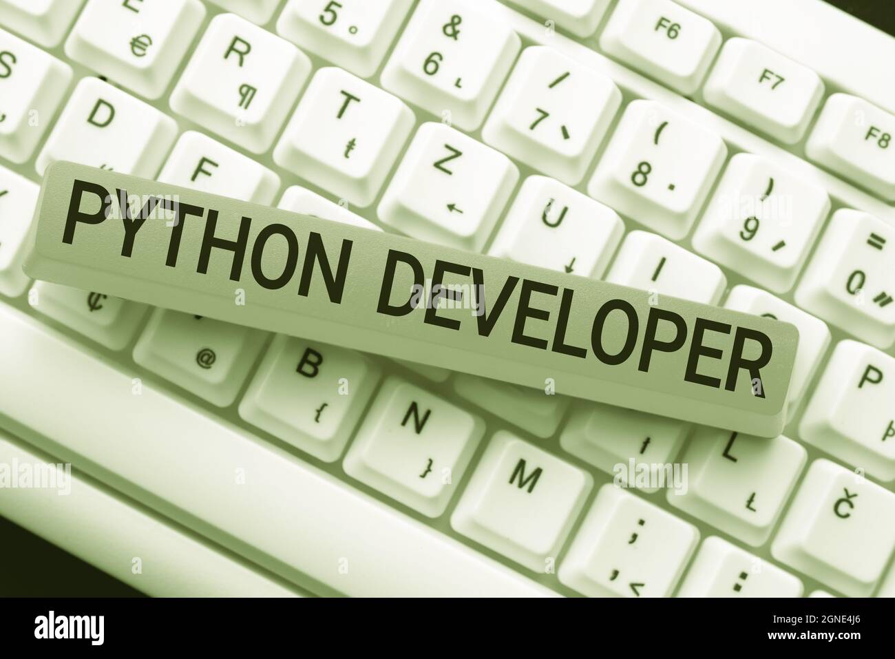 Text sign showing Python Developer. Business showcase responsible for writing serverside web application logic Downloading Online Files And Data Stock Photo