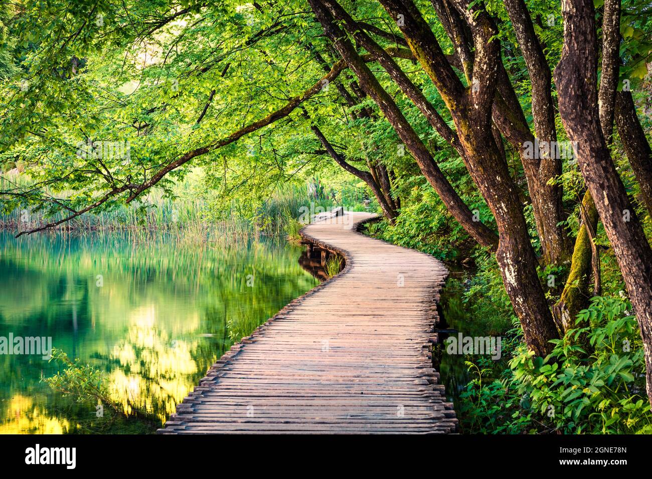 Picturesque morning in Plitvice National Park. Colorful spring scene of ...