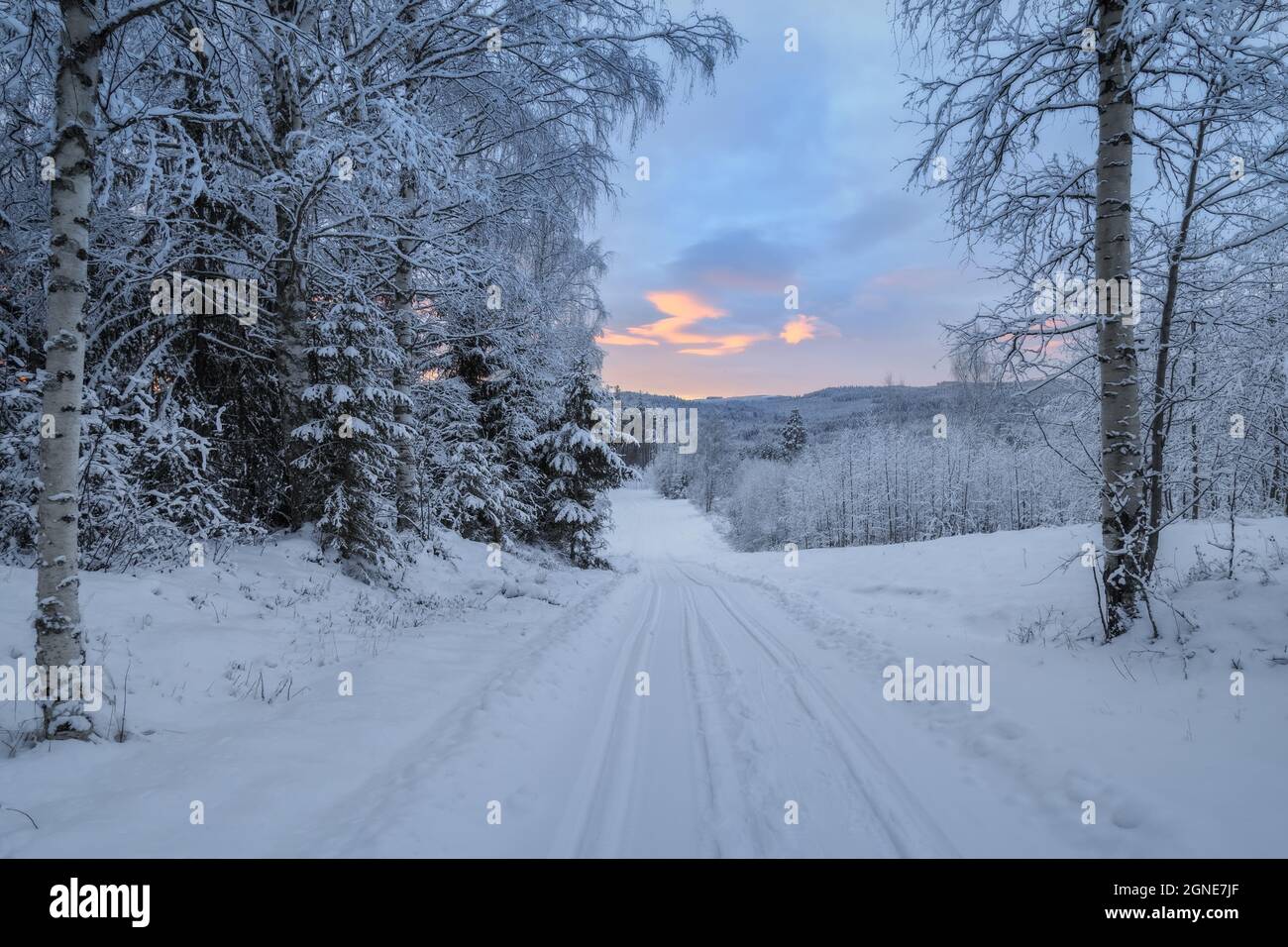 path in snow, forest , winter, mountain landscape Stock Photo