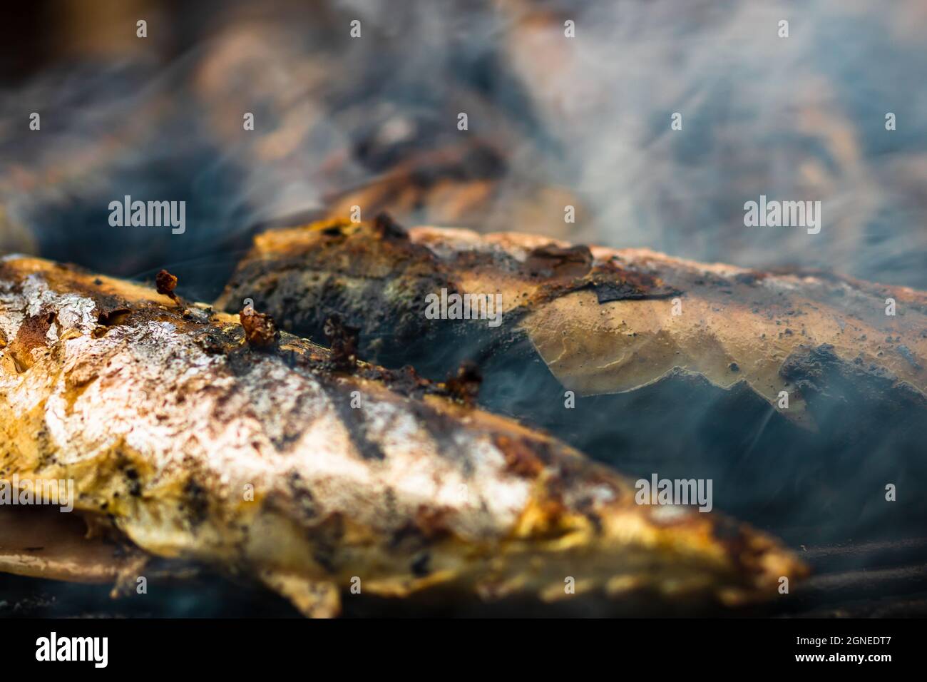 Grilled fish on charcoal grill. Fresh fish barbecue Stock Photo Alamy