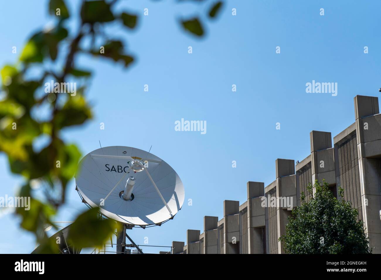 Johannesburg, South Africa - January 30 2019: SABC Radio park tree. High quality photo Stock Photo