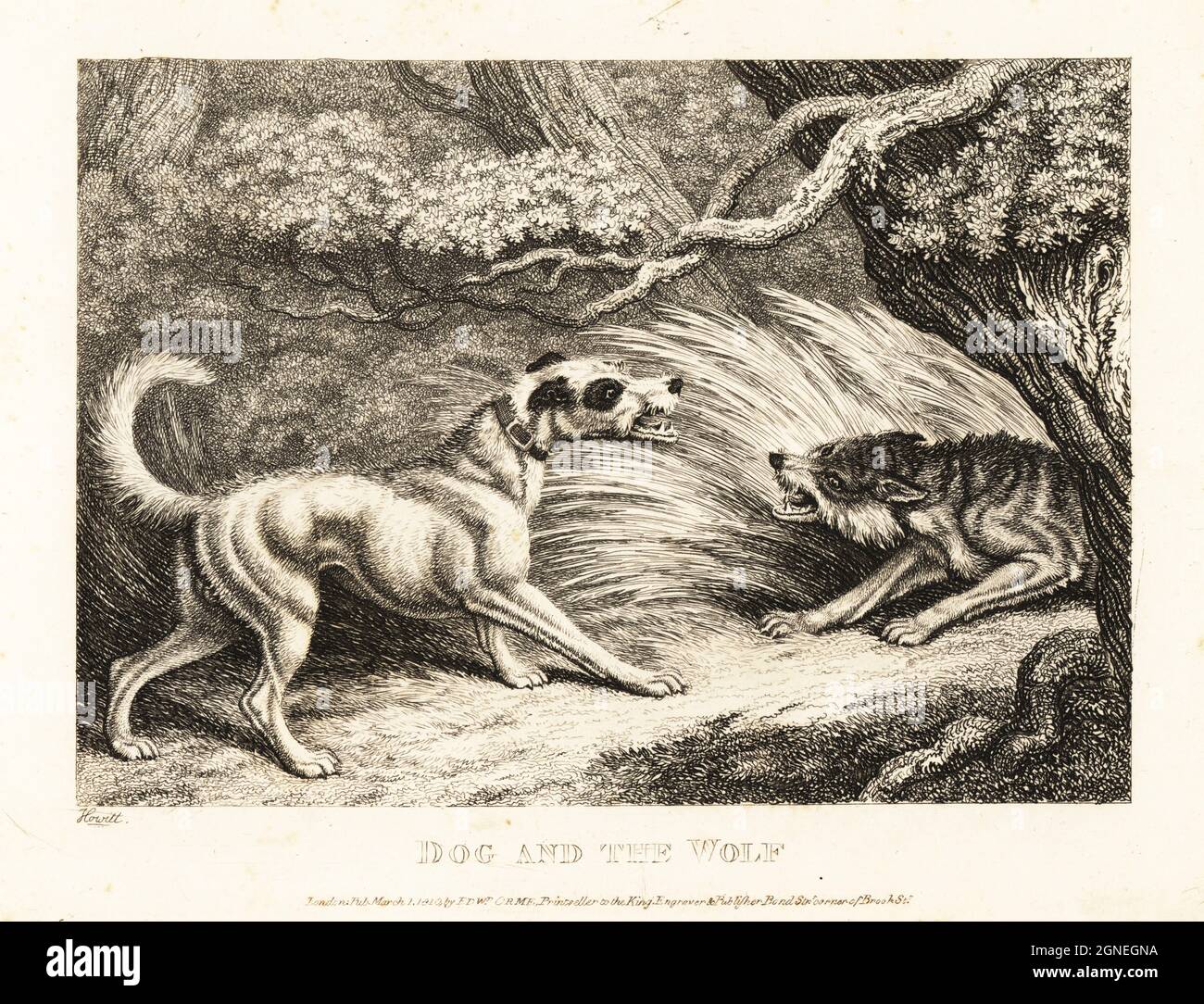 The Dog and the Wolf: A Retelling of Aesop's Fable