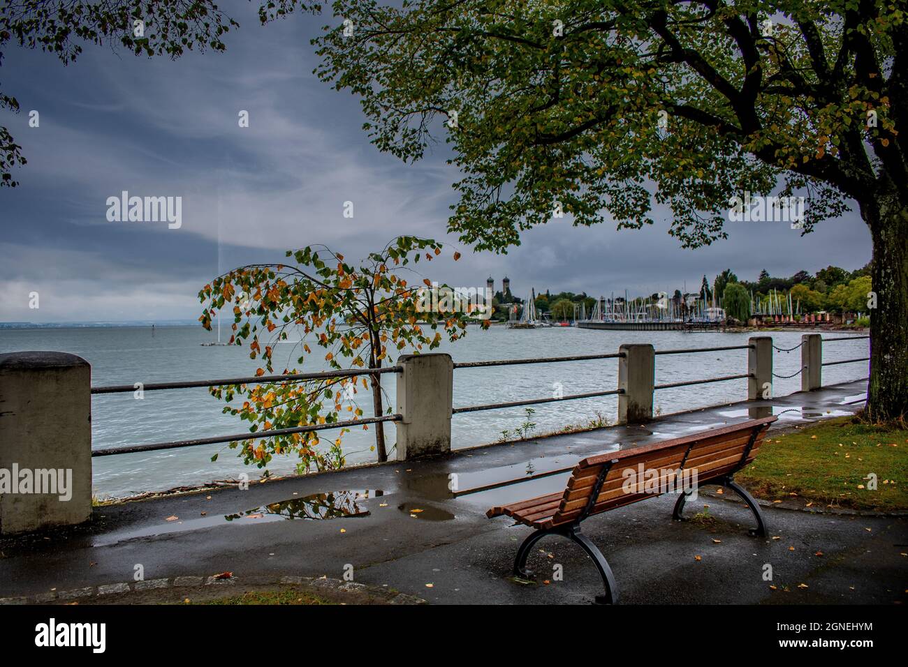 Lake Constance : The bench Stock Photo