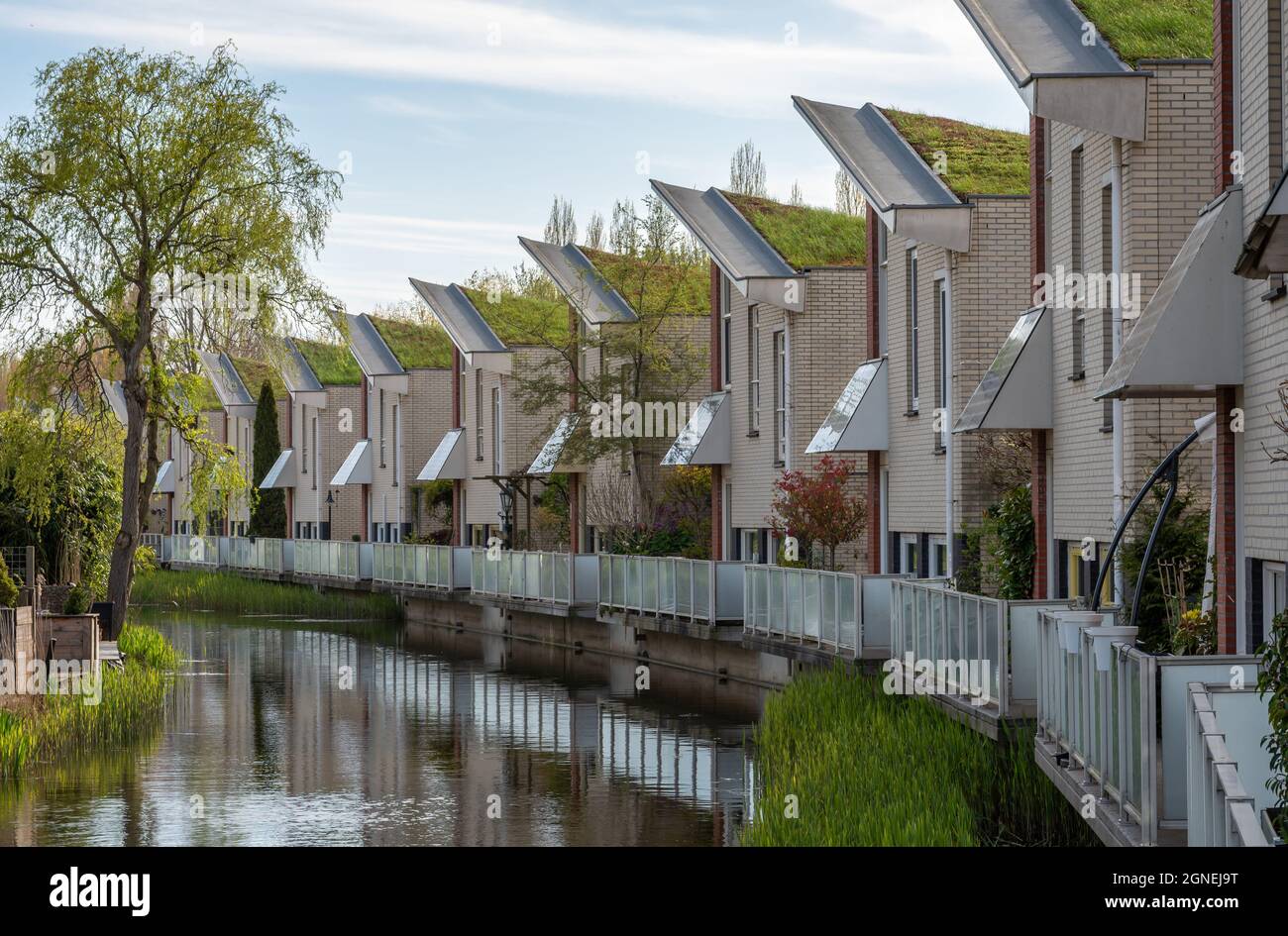 Dordrecht, South Holland, The Netherlands, 24.04.2021, Eco-friendly houses with green roofs in Stadspolder district Stock Photo