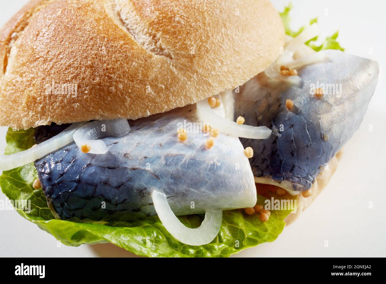 Closeup of delicious German fish sandwich Fischbrotchen made with
