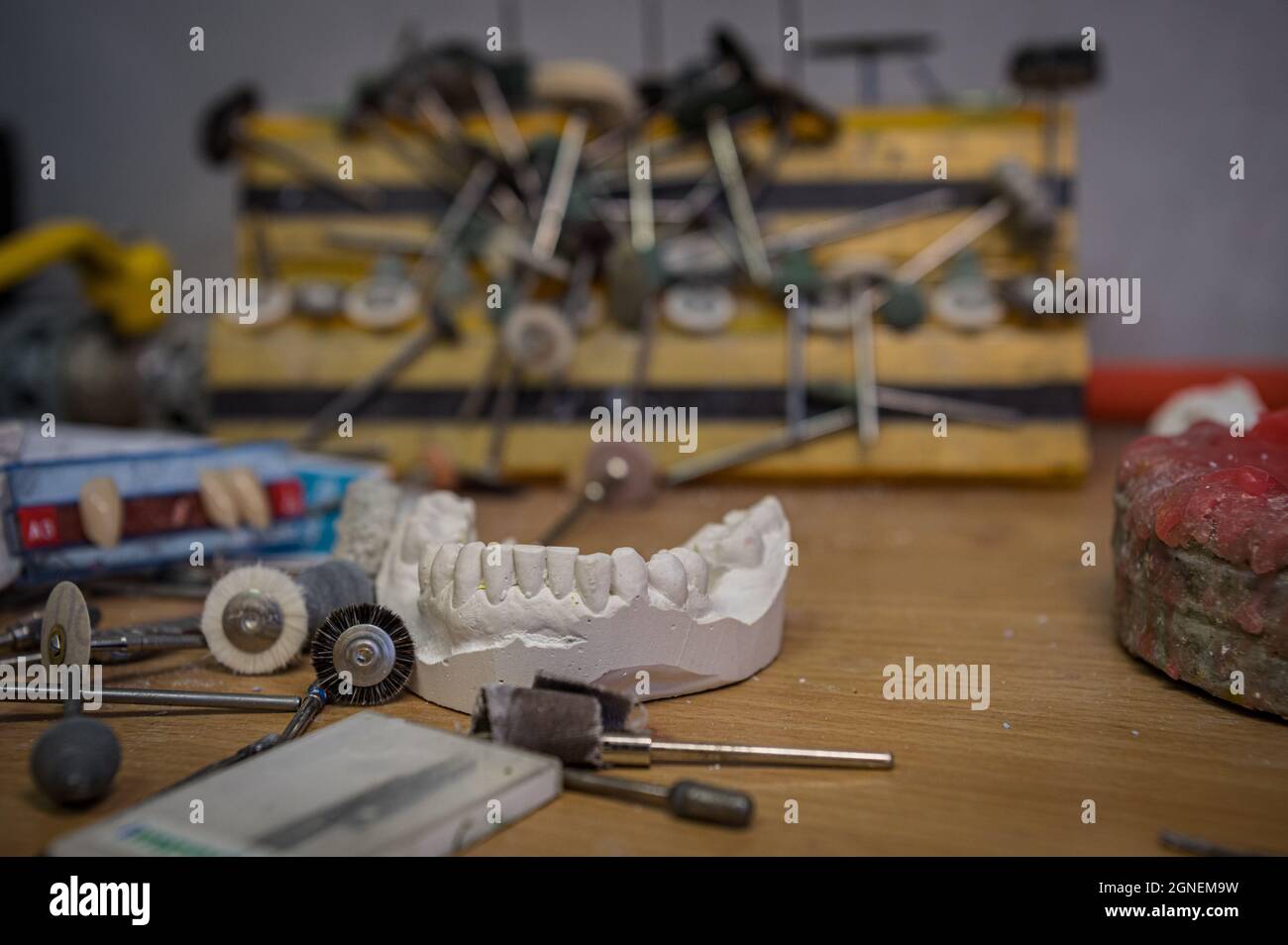 a copy of a human tooth cast in plaster stands on the table of a dentist and surrounded by various tools for making artificial teeth Stock Photo