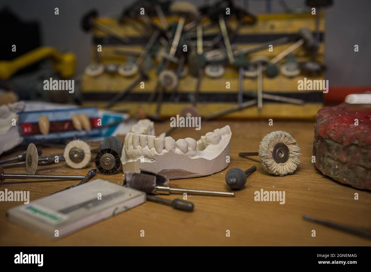 a copy of a human tooth cast in plaster stands on the table of a