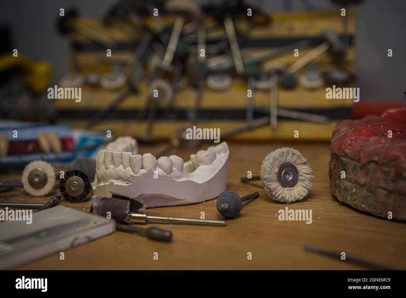 a copy of a human tooth cast in plaster stands on the table of a dentist and surrounded by various tools for making artificial teeth Stock Photo