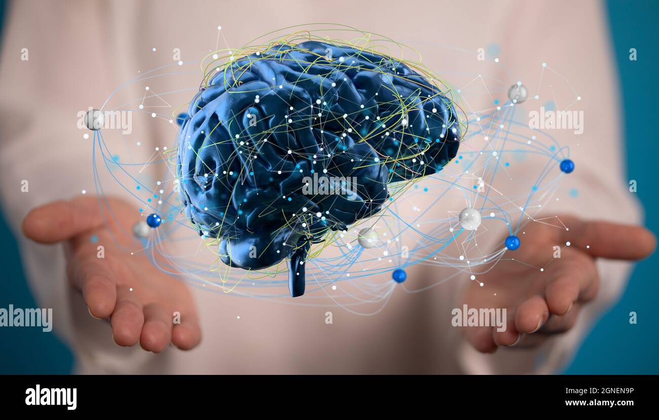3d illustration of the human brain on the palm of a hand Stock Photo ...