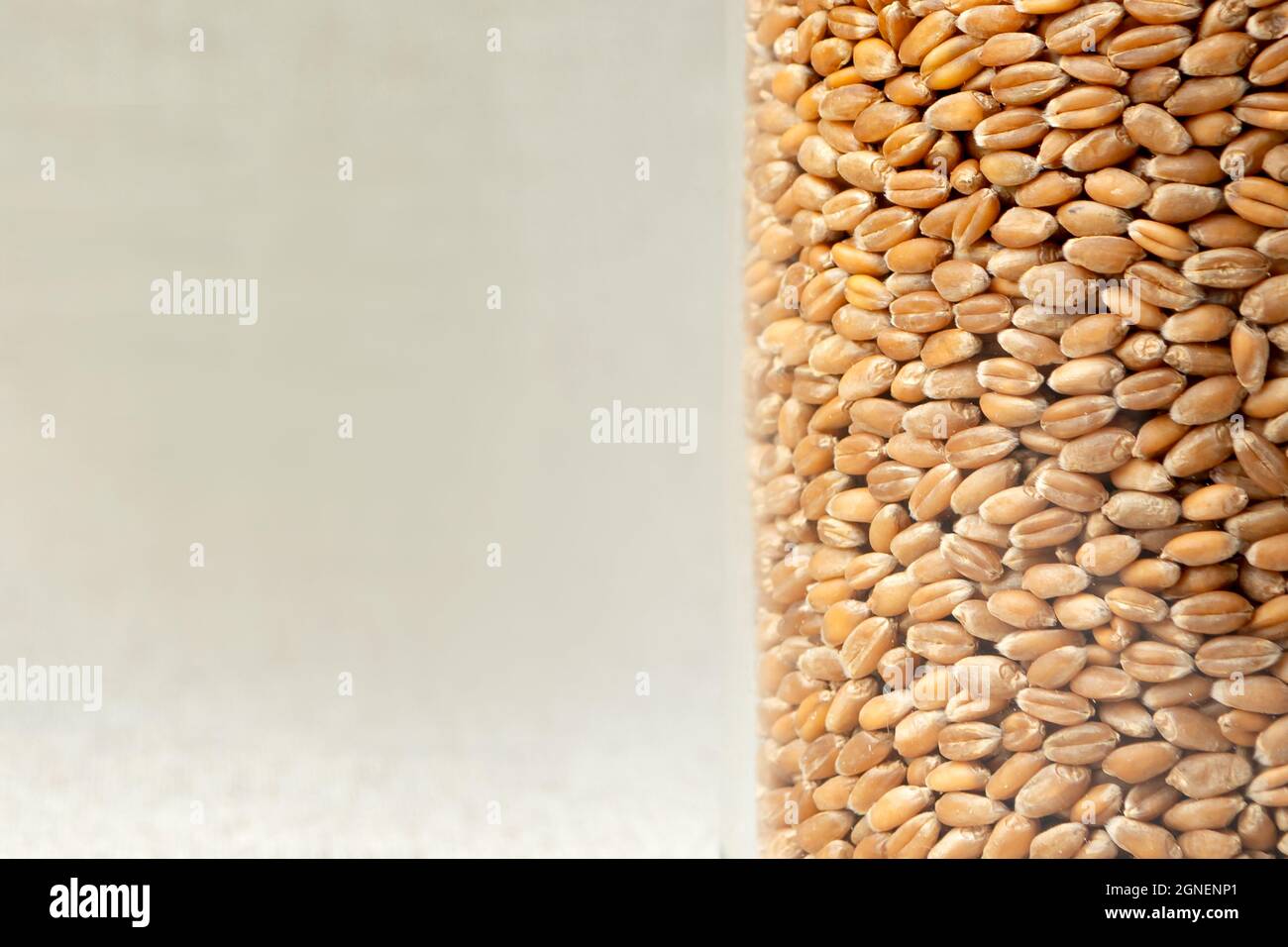 Wheat grains close up hi-res stock photography and images - Alamy
