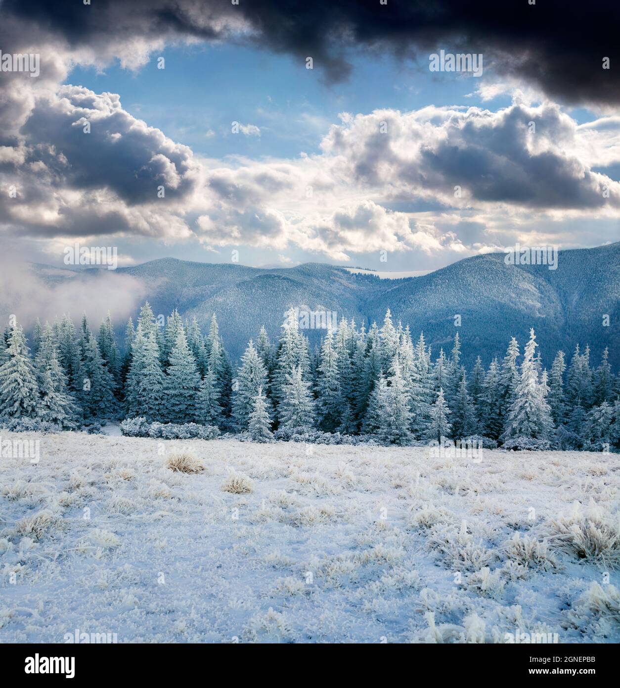 Dramatic Winter Scene Artistic covered dramatic environment hi-res stock photography and ...