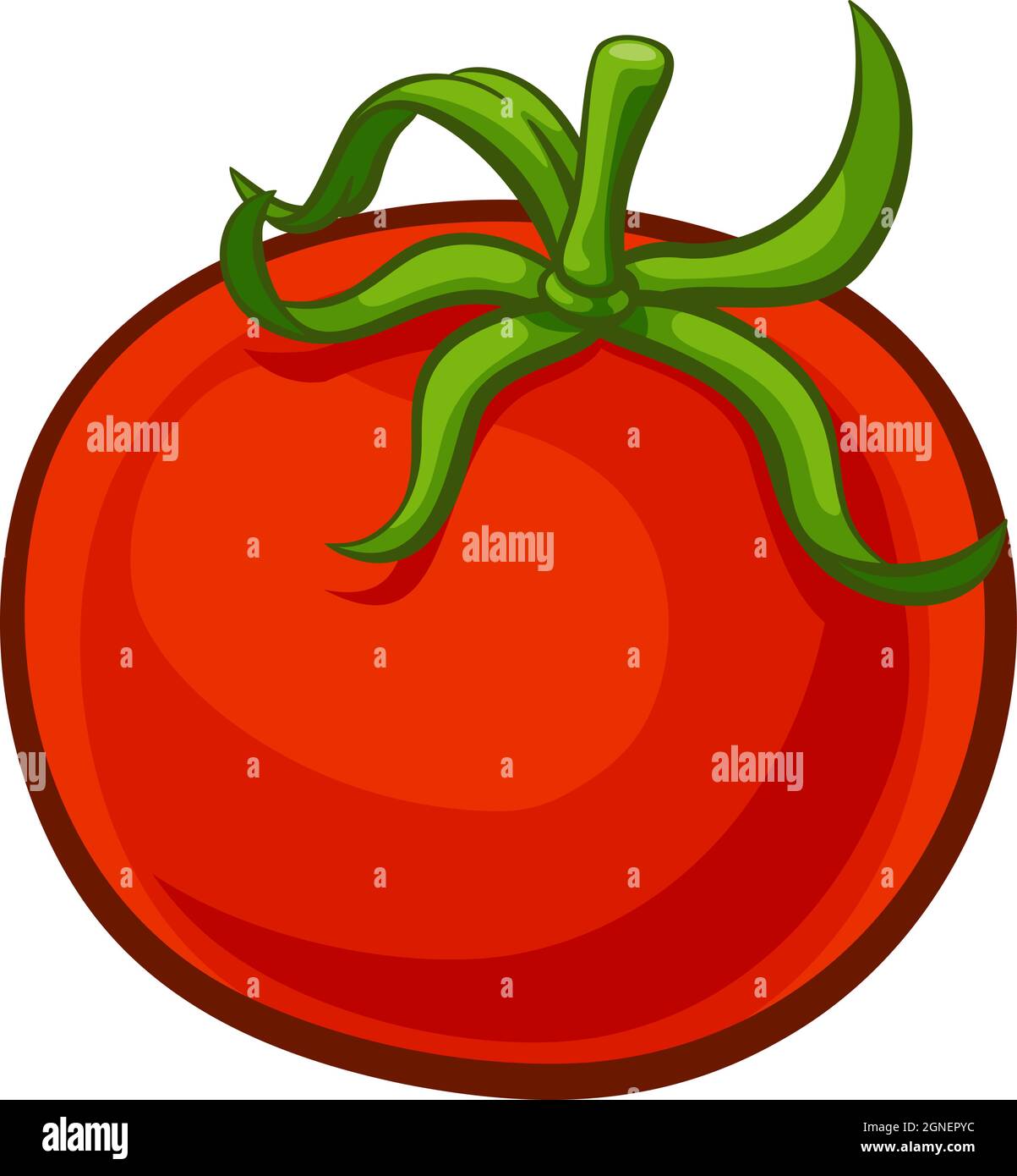 Tomato Vegetable Cartoon Food Drawing Stock Vector Image & Art - Alamy