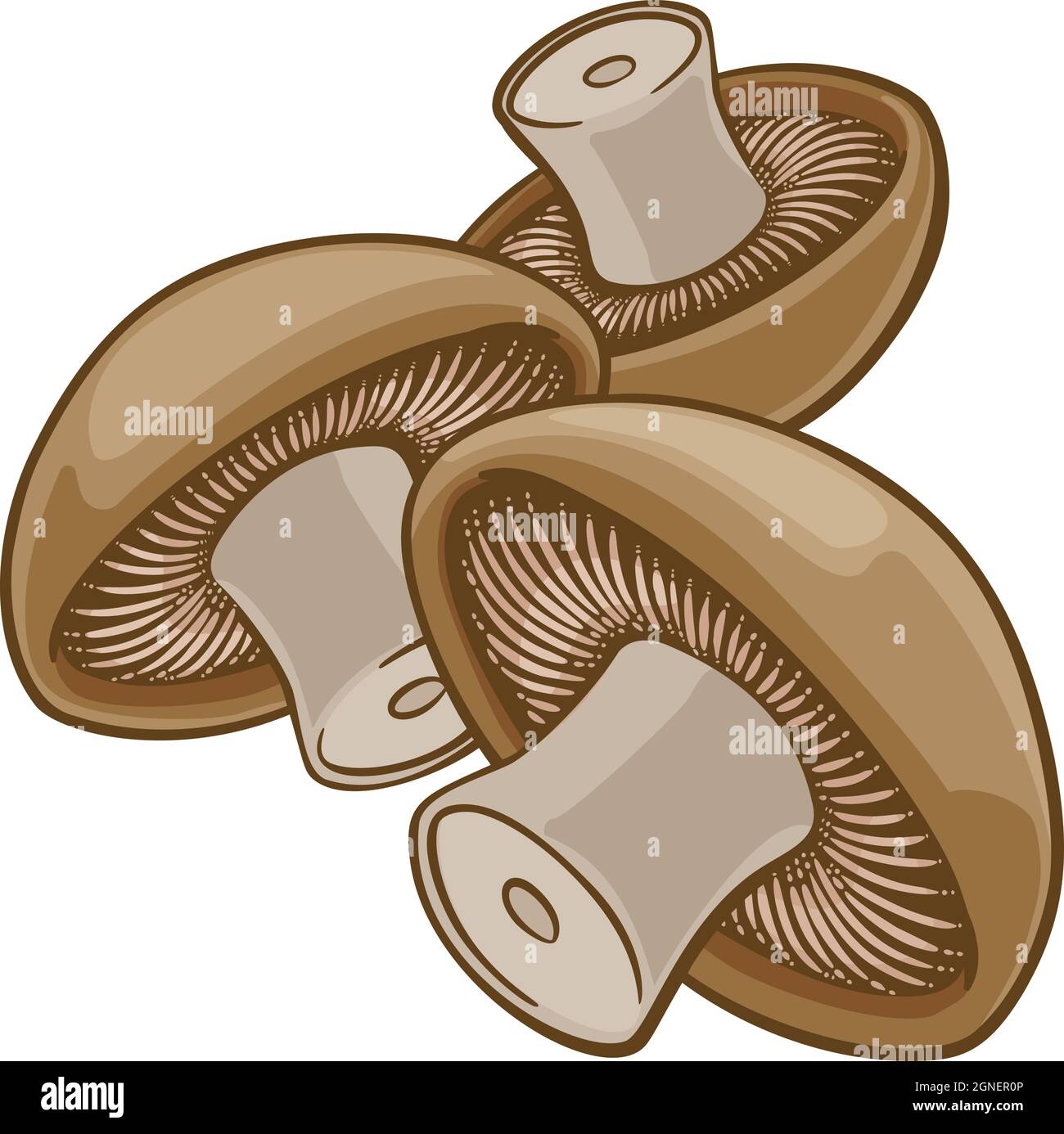 Mushroom Vegetable Cartoon Illustration Stock Vector