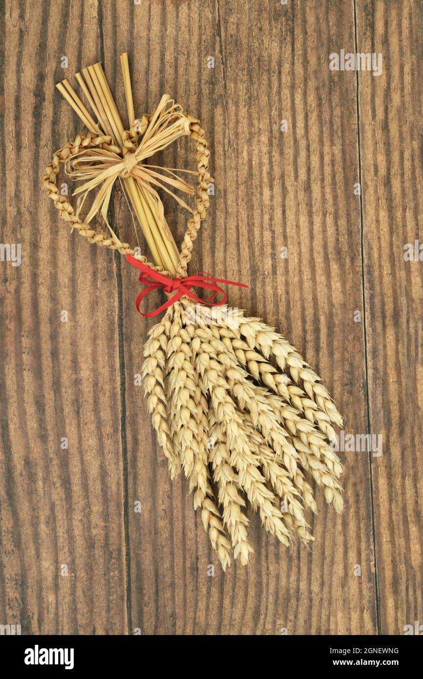Corn dolly ancient symbol used in pagan harvest fertility traditions in Europe. On rustic wood background. Flat lay, top view. Stock Photo