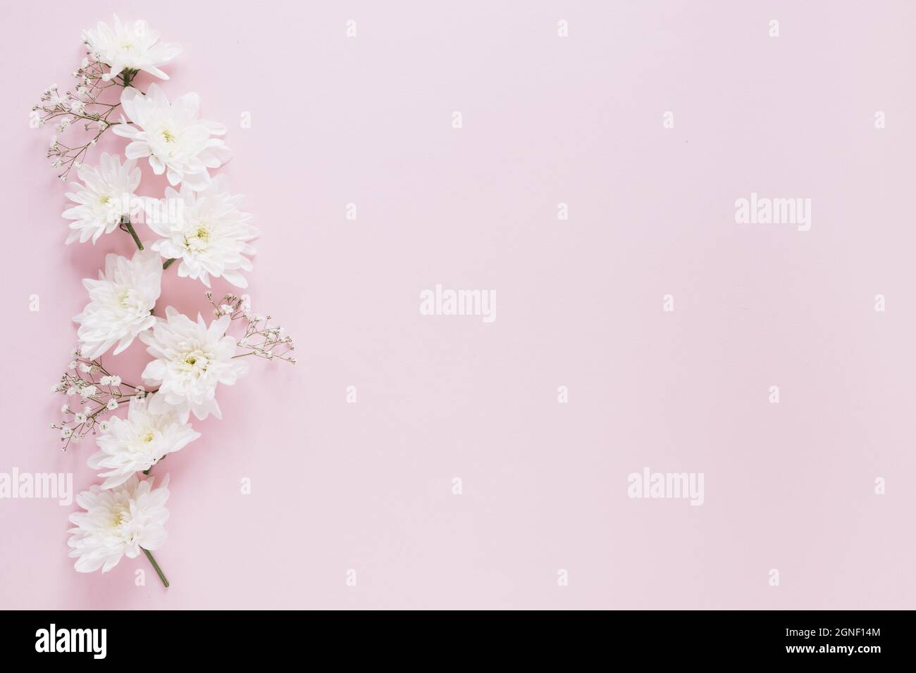 flowers background. High quality and resolution beautiful photo concept