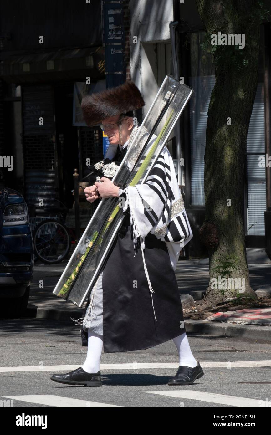 On Sukkos, an orthodox Jewish man walks from synagogue carrying an esrog & lulav and wearing a shtreimel. In Williamsburg, Brooklyn, New York City. Stock Photo