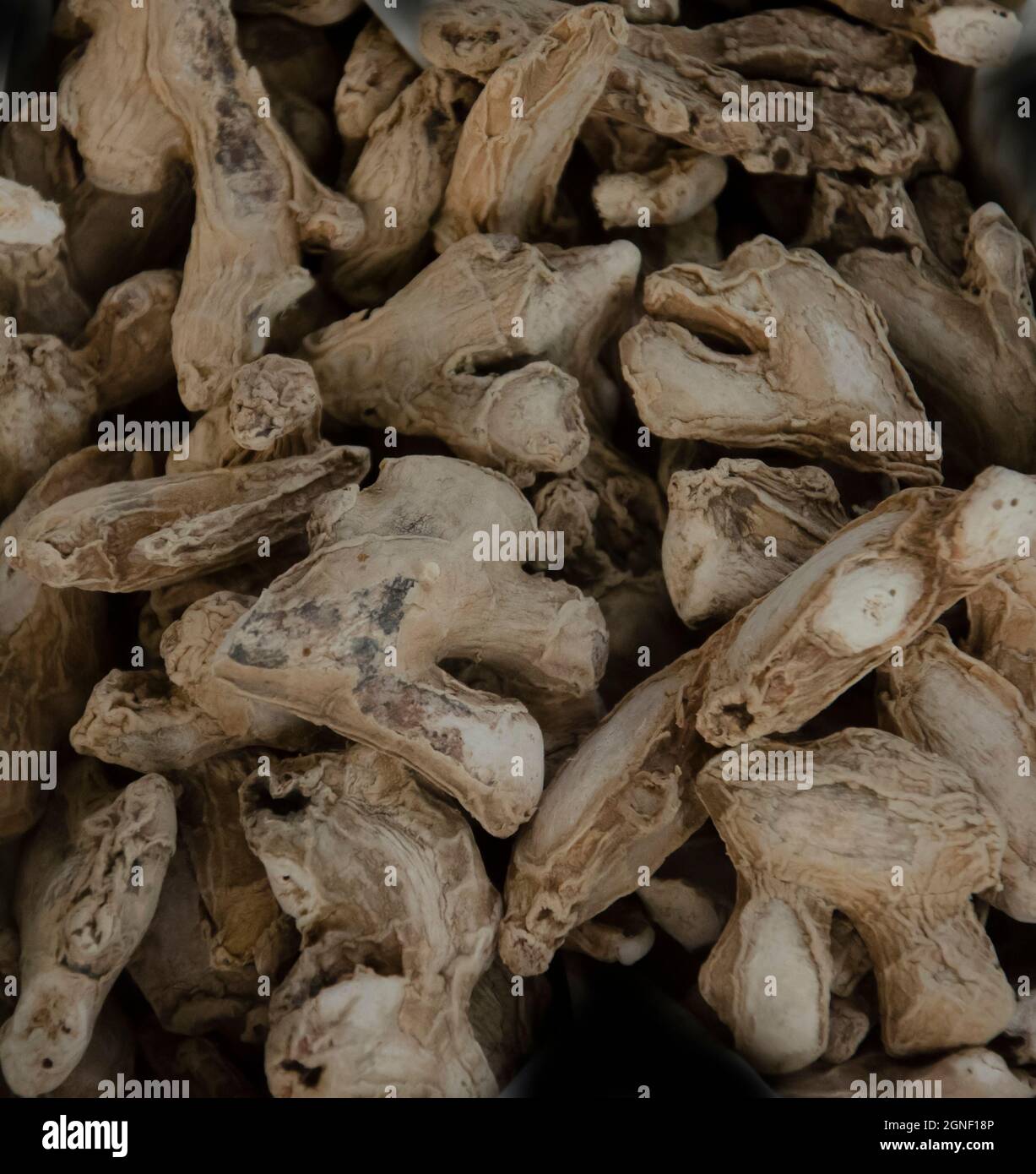 Dry ginger uses in spices and medicine Stock Photo Alamy