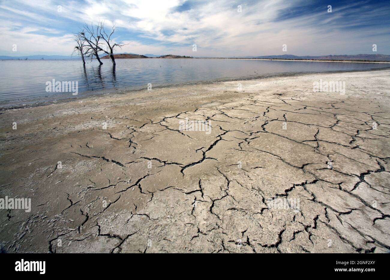 The rise and fall of the Salton Sea a unique ecosystem in southern