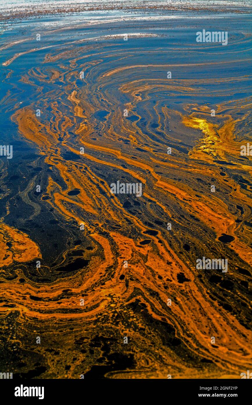 The rise and fall of the Salton Sea a unique ecosystem in southern